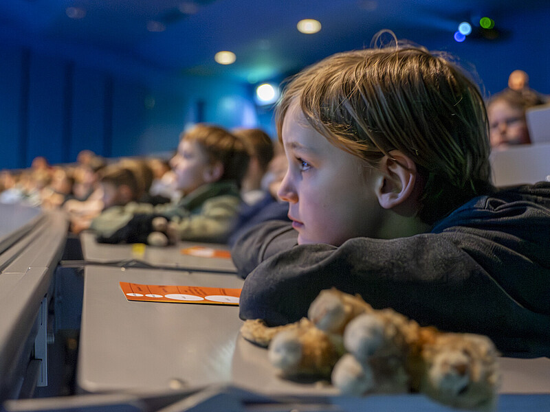Schüler sitzen auf Sitzbänken im Audimax und lauschen der Veranstaltung.